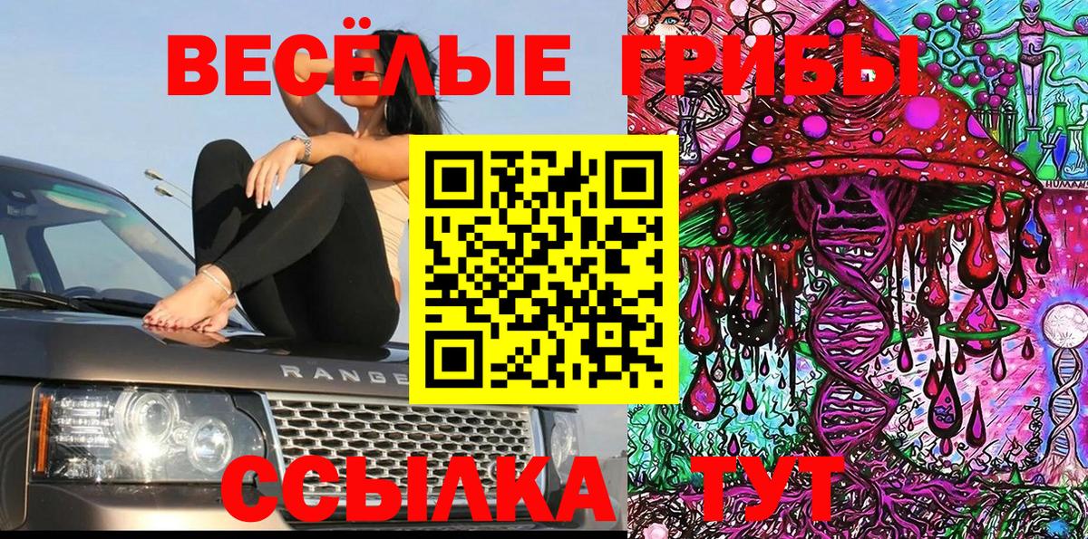 Галлюциногенные грибы Psilocybine cubensis Елец